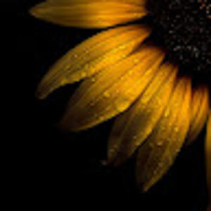 Meet your Posher, Tamara